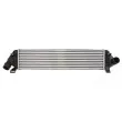 Intercooler, échangeur THERMOTEC DAV004TT - Visuel 1