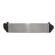 Intercooler, échangeur THERMOTEC DAV004TT - Visuel 2