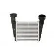 Intercooler, échangeur THERMOTEC DAW003TT - Visuel 1
