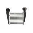 Intercooler, échangeur THERMOTEC DAW003TT - Visuel 2