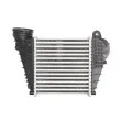Intercooler, échangeur THERMOTEC DAW008TT - Visuel 2