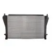 Intercooler, échangeur THERMOTEC DAW011TT - Visuel 1
