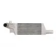Intercooler, échangeur THERMOTEC DAX016TT - Visuel 1