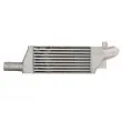 Intercooler, échangeur THERMOTEC DAX016TT - Visuel 2
