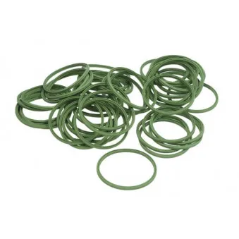 Bague d'étanchéité, gaine de suralimentation THERMOTEC DCB106TT