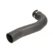 Gaine de suralimentation THERMOTEC DCR173TT - Visuel 2