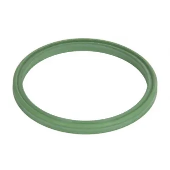 Bague d'étanchéité, gaine de suralimentation THERMOTEC DCW252TT