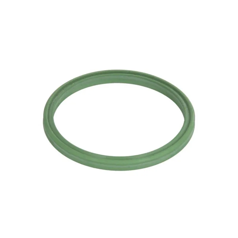 Bague d'étanchéité, gaine de suralimentation THERMOTEC DCW252TT