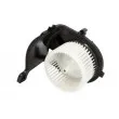 Pulseur d'air habitacle THERMOTEC DDR017TT - Visuel 1