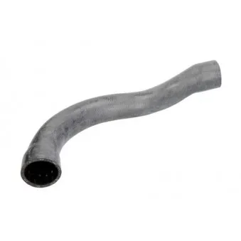 Durite de radiateur THERMOTEC DWB080TT