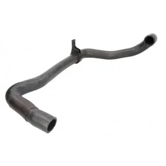 Durite de radiateur THERMOTEC DWP065TT