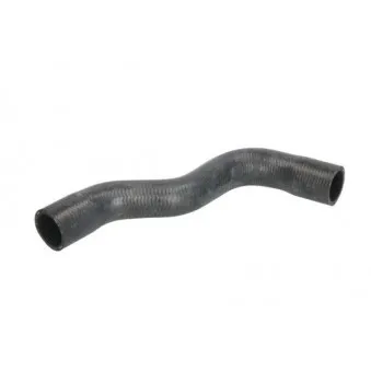 Durite de radiateur THERMOTEC DWP103TT
