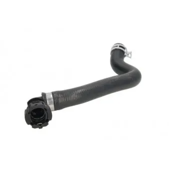Durite de radiateur THERMOTEC DWR245TT