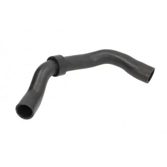 Durite de radiateur THERMOTEC DWW174TT