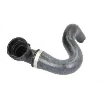 Durite de radiateur THERMOTEC DWX198TT