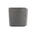 Evaporateur climatisation THERMOTEC KTT150035 - Visuel 2