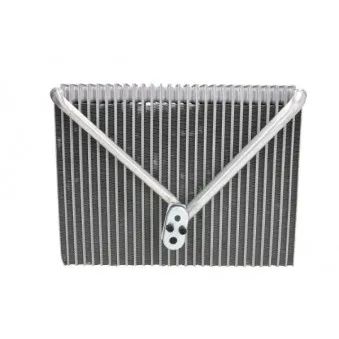 Evaporateur climatisation THERMOTEC KTT150036