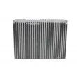 Evaporateur climatisation THERMOTEC KTT150036 - Visuel 2
