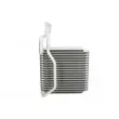 Evaporateur climatisation THERMOTEC KTT150042 - Visuel 2