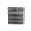 Evaporateur climatisation THERMOTEC KTT150044 - Visuel 2