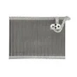 Evaporateur climatisation THERMOTEC KTT150046 - Visuel 1