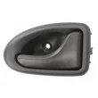 Poignet de porte, équipment intérieur avant droit BLIC 6010-09-032408P - Visuel 1