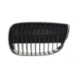 Grille de radiateur BLIC 6502-07-0085993P - Visuel 1