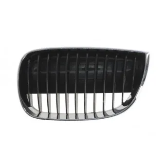 Grille de radiateur BLIC 6502-07-0085993P