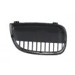 Grille de radiateur BLIC 6502-07-0085993P - Visuel 2