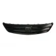 Grille de radiateur BLIC 6502-07-2938991P - Visuel 1