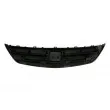 Grille de radiateur BLIC 6502-07-2938991P - Visuel 2