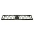 Grille de radiateur BLIC 6502-07-3719996P - Visuel 2