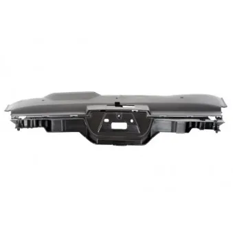 Grille de radiateur BLIC 6502-07-5537990Q