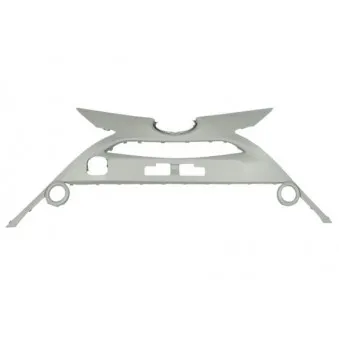 Grille de radiateur BLIC 6502-07-8102990P