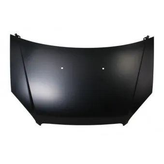 Capot-moteur BLIC 6803-00-2042281P