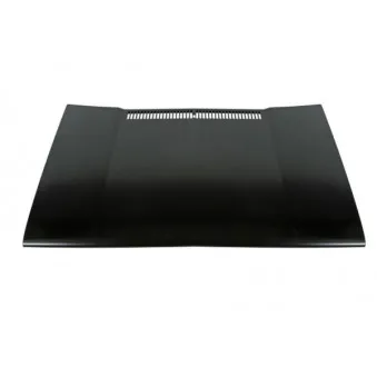 Capot-moteur BLIC 6803-00-9520280P