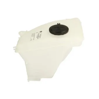 Réservoir d'eau de nettoyage, nettoyage des vitres BLIC 6905-19-030480P