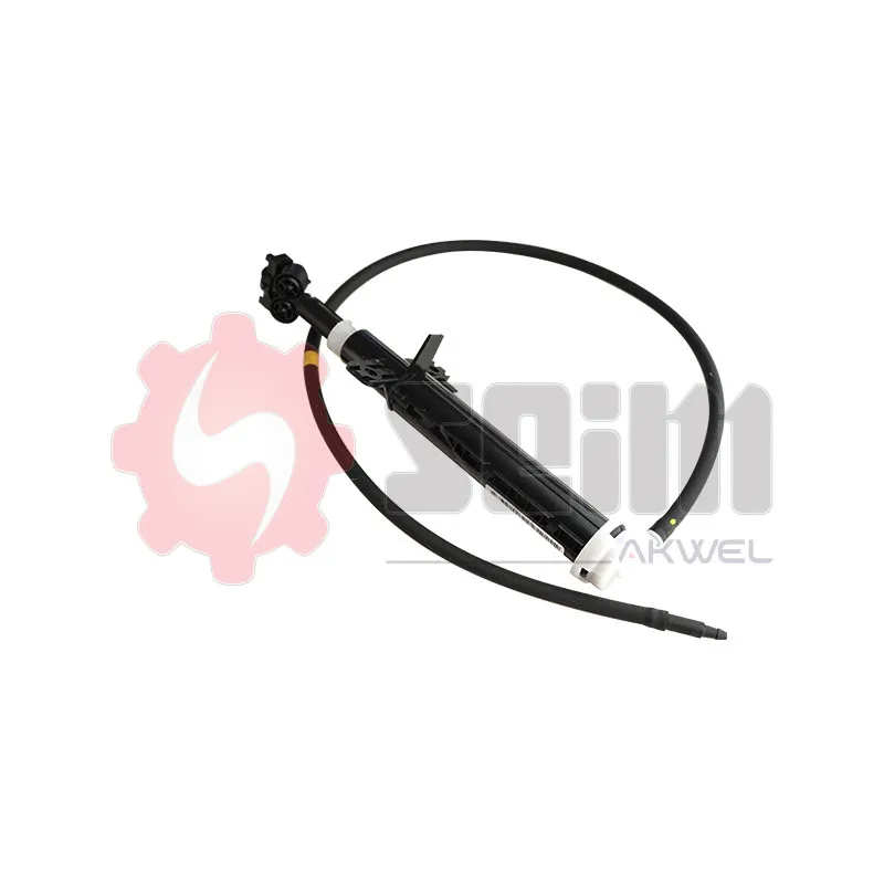 Gicleur d'eau de nettoyage, nettoyage des phares avant droit SEIM 119036