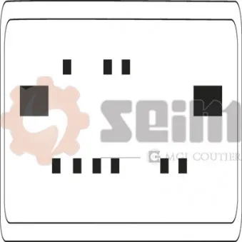 Lève-vitre arrière droit SEIM 980018