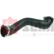 Gaine de suralimentation SEIM 981077 - Visuel 1