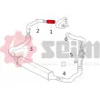 Gaine de suralimentation SEIM 981078 - Visuel 2