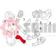 Gaine de suralimentation SEIM 981144 - Visuel 2
