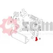 Gaine de suralimentation SEIM 981152 - Visuel 2