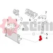 Gaine de suralimentation SEIM 981152 - Visuel 3