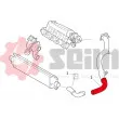 Gaine de suralimentation SEIM 981182 - Visuel 2