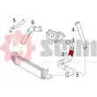 Gaine de suralimentation SEIM 981233 - Visuel 3