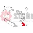 Gaine de suralimentation SEIM 981234 - Visuel 3