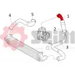 Gaine de suralimentation SEIM 981239 - Visuel 2