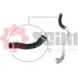 Gaine de suralimentation SEIM 981259 - Visuel 1