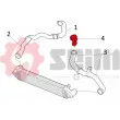 Gaine de suralimentation SEIM 981275 - Visuel 2
